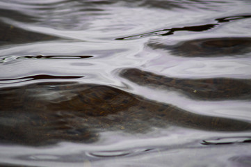 water surface