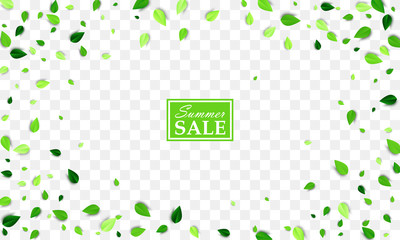 Summer sale banner with scattered green leaves foliage on white checkered background. Vector illustration. All isolated and layered