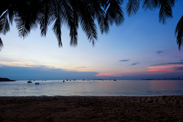 Silhouette of coconut palm trees against a sunset on the beach