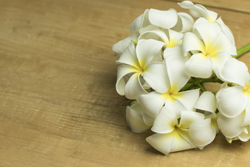 Fototapeta na wymiar Beautiful frangipani flower on wooden table. copy space