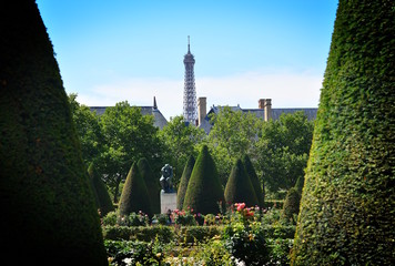 Detail view of the Eiffel tower from the public gardens of the Rodin Museum, Paris - 167141414
