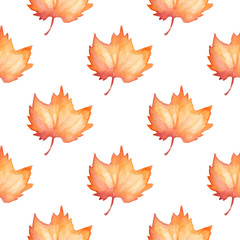 Pattern with maple leaves