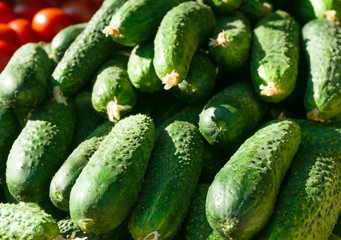 Many green cucumbers, close up