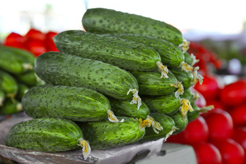 Fresh cucumbers in the market