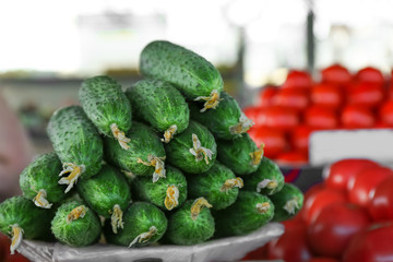 Fresh cucumbers in the market