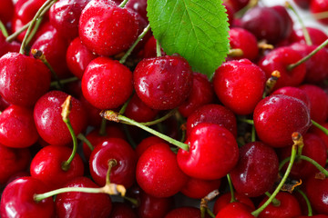 Fresh ripe cherries, close up