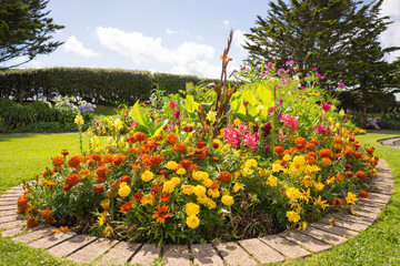 Flowers in a garden in Cornwall at summertime