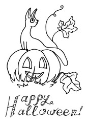 Cat sitting on a pumpkin that says happy Halloween. The sketch marker. Vector