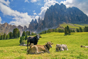 Sant Cyprian Rosengarten