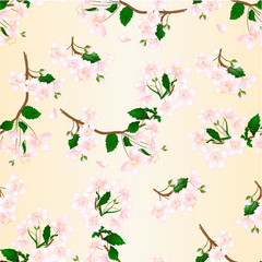 Seamless texture branch flowers wild Cherry natural background vintage vector editable hand draw illustration