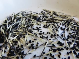 graines de nigelles et d’œillets d'inde