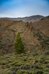 Nationalpark El Teide, Teneriffa, 2017