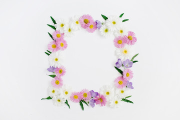 Floral frame of white and pink chamomile daisy flowers, green leaves on white background. Flat lay, top view. Daisy background. Mock up frame of flower buds.