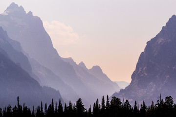 Grand Tetons: tree line silhouette
