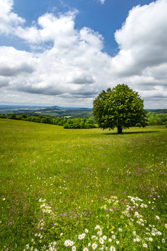 Rhoen's Rolling Hills