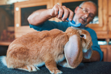 Naklejka premium Hodowca królików. Koncepcja zwierzęta i zwierzęta