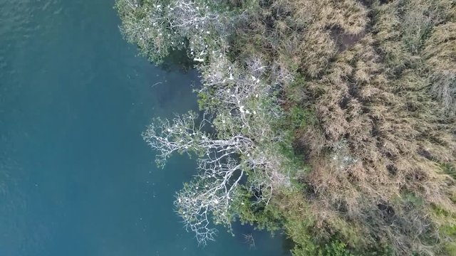 P&aacute;ssaros voando sobre as &aacute;guas do Rio Parana&iacute;ba, divisa entre Goi&aacute;s e Minas Gerais 