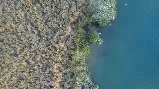P&aacute;ssaros voando sobre as &aacute;guas do Rio Parana&iacute;ba, divisa entre Goi&aacute;s e Minas Gerais 