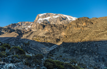 Mount Kilimanjaro panoramic view at dusk