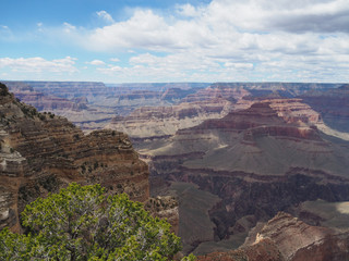 Beautiful view into the Grand Canyon from South Rim