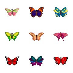 Different butterfly icons set, flat style