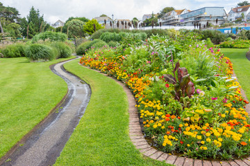 Obraz premium Flowers and plants in a garden in the summertime