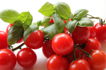 Tomaten und Basilikum