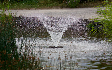 une belle fontaine dans un parc