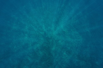 Sunlight underwater in the Mediterranean sea above a grassy seabed covered by neptune grass...