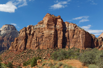 Fototapeta premium Zion National Park