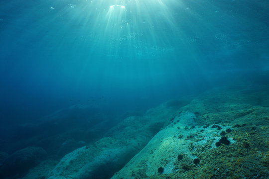 Natural sunlight underwater through water surface in the Mediterranean sea on a rocky seabed, Catalonia, Roses, Costa Brava, Spain © damedias