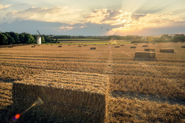 Sunset over a a wheat field in the harvest time with a windmill. Bavaria, Germany.