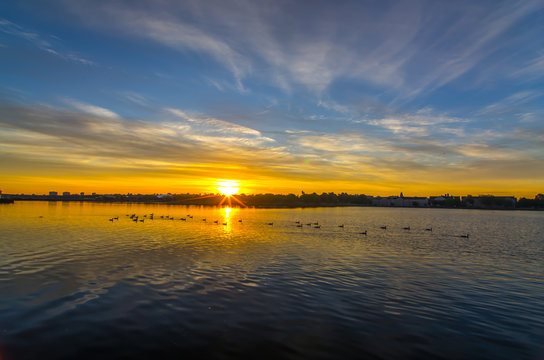 Ducks going for a morning swim