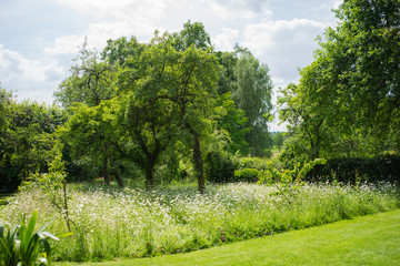 A garden in Northampton-shire