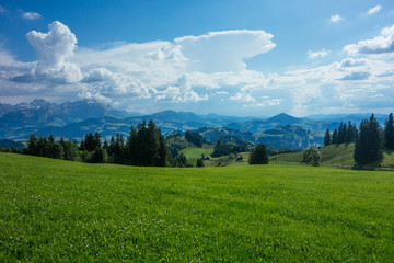 Fototapeta na wymiar Wandern in Gais im Kanton Appenzell Ausserrhoden in der Schweiz an einem Sommertag