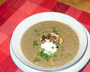 Suppe aus frischen Champignons