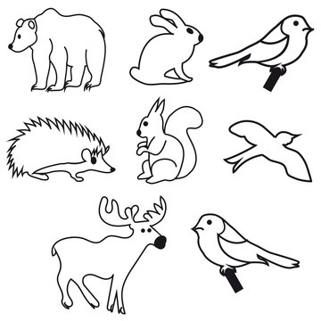 Collection icons animals bird contour. Vector image for your website