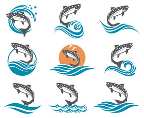 collection of salmon fish images with waves