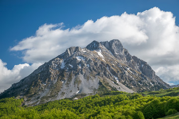 Fototapeta premium Picturesque Komovi Mountains are located in the east of Montenegro.