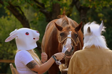 animal farm, funny picture with a girl, wearing a bunny mask, offering a chestnut horse a glas of...