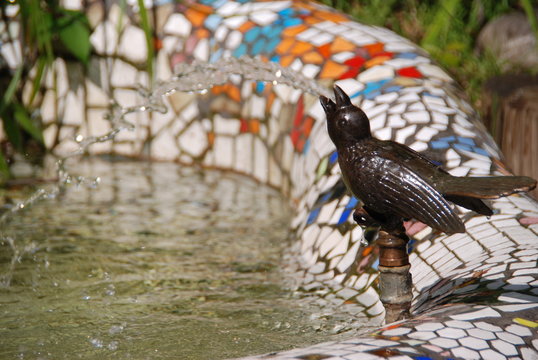 Spuck Images – Browse 31 Stock Photos, Vectors, and Video | Adobe Stock