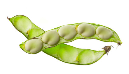 Bean pod isolated on white background