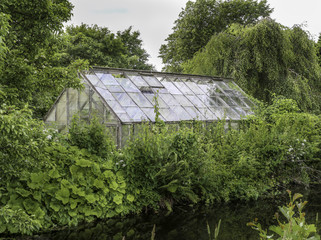 Green house  behind green plants on a summers day
