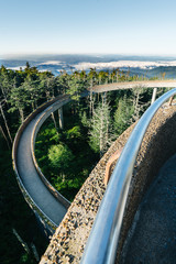 Clingmans Dome