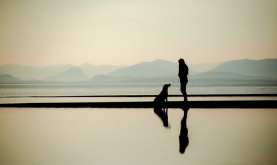 Silhouette of woman with pet dog on beach © Sharon