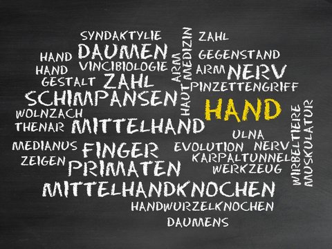 Hand