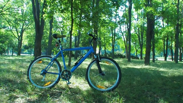 Blue bike in the nature. Mountain bike in the park.