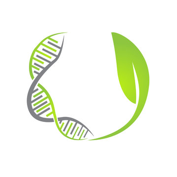 dna leaf