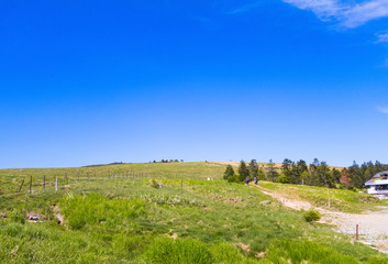 Obraz premium Beautiful landscape mountain view of Utsukushigahara is one of the most important and popular natural place in Nagano , Japan.