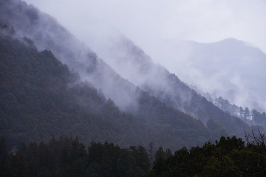 Fototapeta 霧の山並み